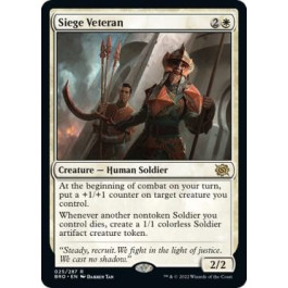 Siege Veteran - The Brothers' War (BRO)