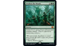Awaken the Woods - The Brothers' War (BRO)